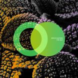 Artwork for "The Way"