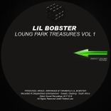 Artwork voor "Lounge Park Treasures, Vol. 1"