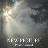 Portada para "New Picture"