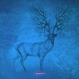 Artwork für "Additional Subtitles"