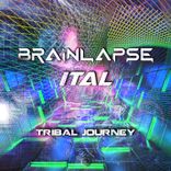 Artwork for "Tribal Journey"