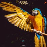 Artwork voor "Libertango"