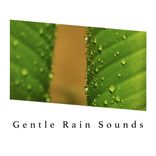 Portada para "Gentle Rain Sounds"
