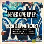 Artwork for "NEVER GIVE UP PART 2 : TECH HOUSE"