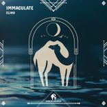 Artwork voor "Immaculate"