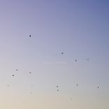 Artwork for "Luh (Powel Remix)"