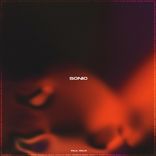 Portada para "Sonic"