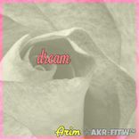 Artwork for "Dream"