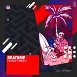 Artwork voor "Funky Fresh"