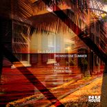 Artwork for "Brownstone Summer"