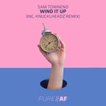 Artwork for "Wind It Up"