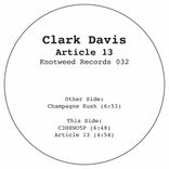 Artwork for "Article 13"