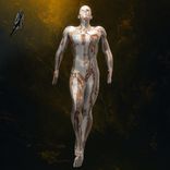 Artwork for "Among Us"