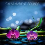 Artwork für "Calm Ambient Sounds"