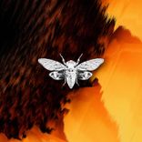 Artwork for "Freedom"