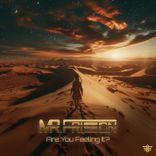 Artwork for "Are You Feeling It?"