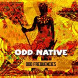 Odd Frequencies