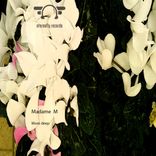 Portada para "More Deep"