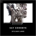 Artwork for "Say Goodbye"