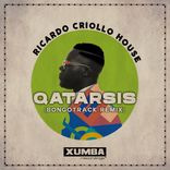 Artwork voor "Qatarsis (Bongotrack Remix)"