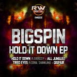 Artwork for "Hold it down"