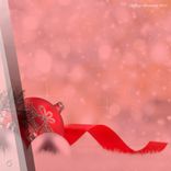 Captivated With Purpose