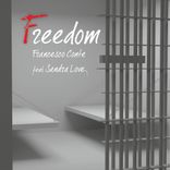 Artwork for "Freedom"