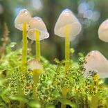 For all the time sake