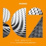 Artwork for "The Gravity"
