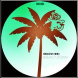 Artwork for "Break It Down"