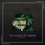 Artwork for "The Sound of Animar Volume 4"