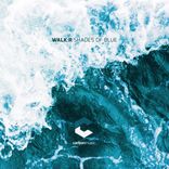 Portada para "Shades of Blue"