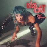 Artwork voor "BIG CAT"