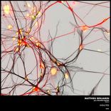 Artwork for "Inducted"