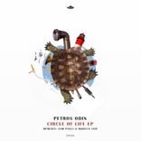 Artwork for "Circle of Life"