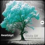 Artwork for "White UV"
