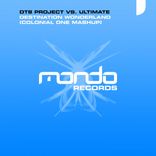 Destination Wonderland