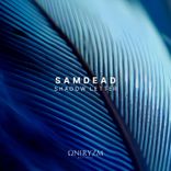 Artwork für "Shadow Letter"