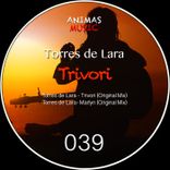 Artwork for "Trivori"