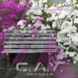 Artwork for "Wonderfull Stories"