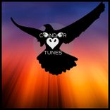 Portada para "Wonderful Night"