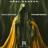 Portada para "Soul Reaper"