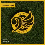 Artwork for "Feeling Love"