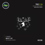 Portada para "Best Of (The Hidden Tracks)"