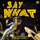 Portada para "Say What"