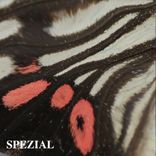 Portada para "SPZL Battle Weapons"