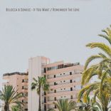 Artwork for "If You Want / Remember The Love"