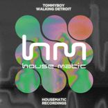 Artwork voor "Walking Detroit"