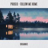 Artwork for "Follow Me Home"