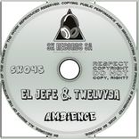 Artwork for "Ambience"